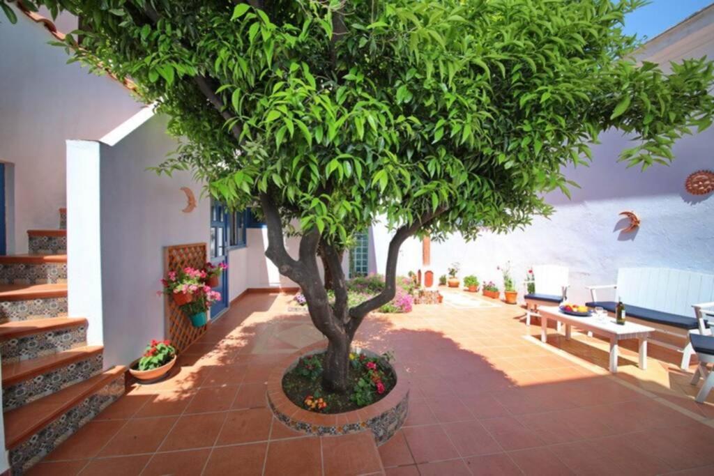 Philoxenia Guest House สโกเปลอสทาวน์ ภายนอก รูปภาพ