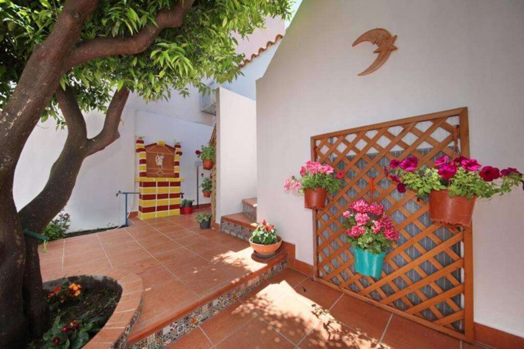 Philoxenia Guest House สโกเปลอสทาวน์ ภายนอก รูปภาพ